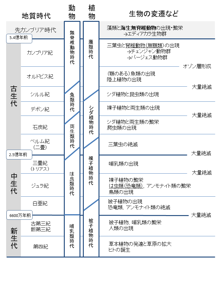 高校生物 地質時代年表 まとめプリント Noregretlife